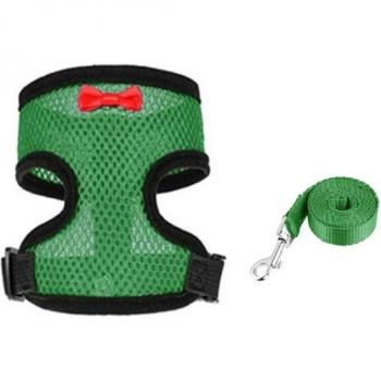 Small Pet Chicken Harness and Leash Set, Adjustable and Comfortable, Ideal for Training Ducks, Geese, Hens