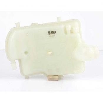 Serbatoio BSG 70-550-006 per Compensazione Refrigerante