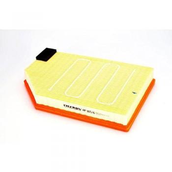 Filtro Aria Filtron Air Filter ap165/6