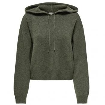 JDY Kapuzenpullover 'Rue Life' Grün Melange