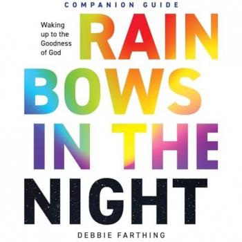 Rainbows in the Night Companion Guide