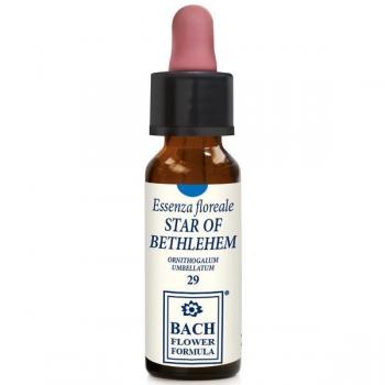 Star of Bethlehem 10 ml gocce