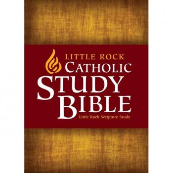 Little Rock Scripture Study Bible-NABRE, by Catherine Upchurch
