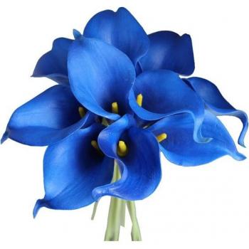 Elegante Calla Lilien für Hochzeiten