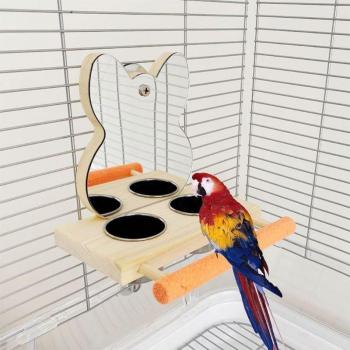 Perch Playgym for Parrots