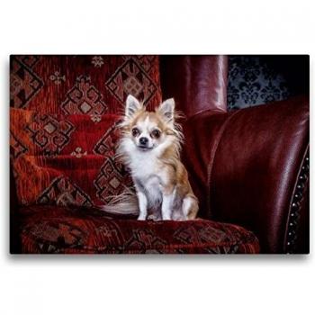 CALVENDO 75 × 50 cm Chihuahuas Textile Druck – Cool & Friendly