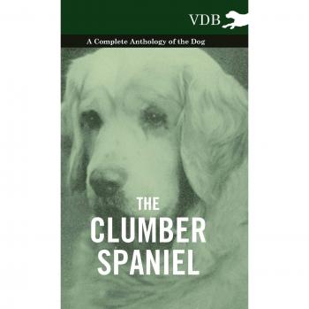 The Clumber Spaniel