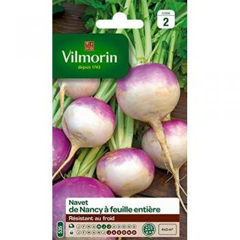 Navet-légume Nancy à feuille entière – Vilmorin