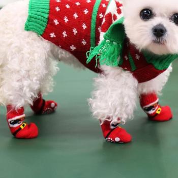 Warm Paw Socks for Dogs