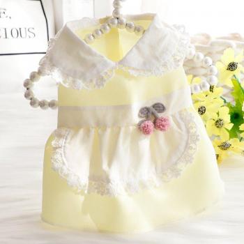 Robe de fête pour Chihuahua