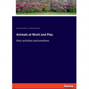 Animals at Work and Play: their activities and emotions