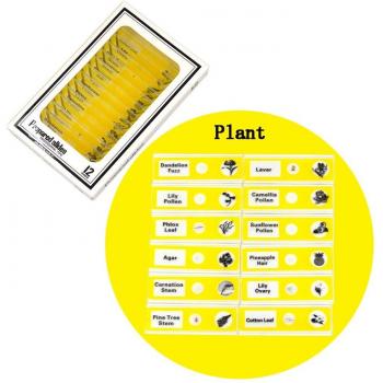 Chanseon 12pcs Plastic Microscope Slides for Educational Use