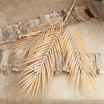 Ramas de Palma Artificiales 70cm