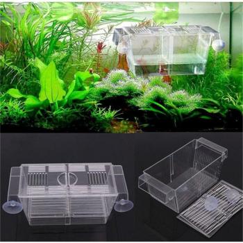 Durable Fish Breeding Box