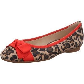 Ballerines Douceur Paul Green