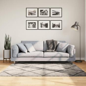 Tappeto Shaggy Moderno PAMPLONA Pelo Lungo Beige e Antracite 160x160 cm