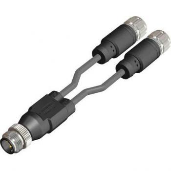 Rs Pro Elektronikkabel 4-adrig mit Male-Stecker, Schwarz