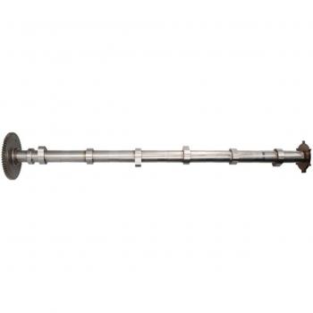 Rotore a Camme BF 20100911000