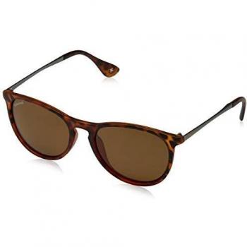 Montana Brillen MP24 Polarized MP24C Schildpatt Herren Sonnenbrillen