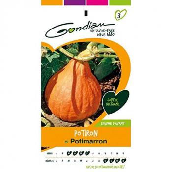 Gondian Potimarron : Graines de Légumes