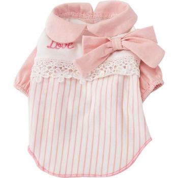 Tenue colorée pour yorkshire
