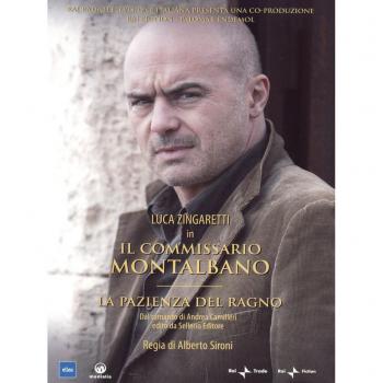 La Pazienza Del Ragno