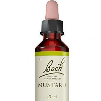 Fleurs de bach mustard 20ml