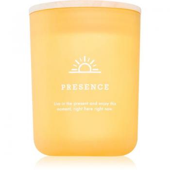 DW Home Hygge Duftlicht 425 g