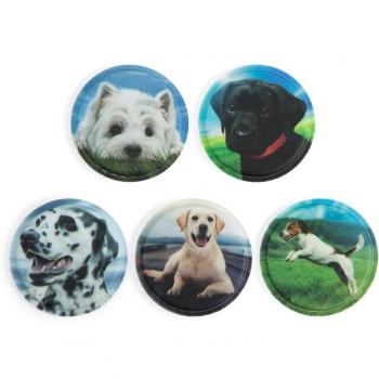 Klettie Ergobag Premium – 5‑teiliger Vorrat