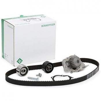 INA Pompa Acqua + Kit Cinghia Distribuzione FIAT, PEUGEOT, CITROËN 530 0440 30