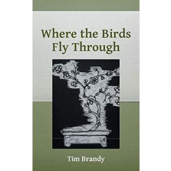 Where the Birds Fly Through