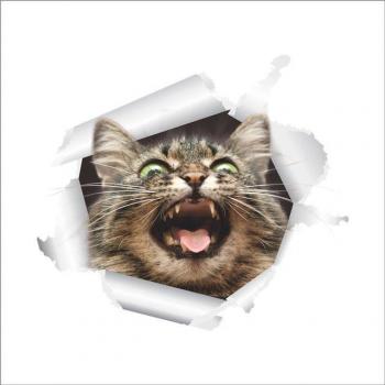 3D Broken Cat Toilet Switch Wall Stickers