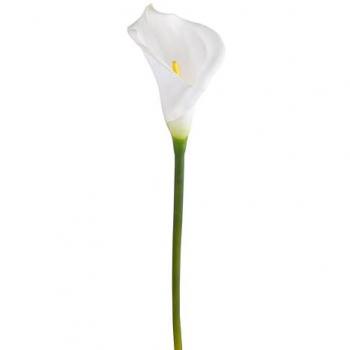 Set 6 Calla floreale 66 cm, colore bianco