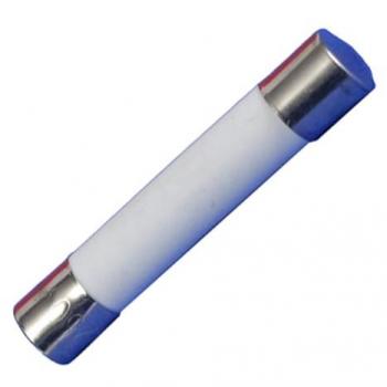 Fusible 6,3 x 32 mm 10 A pour Four micro-ondes WHIRLPOOL et BOSCH