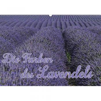Die Farbe des Lavendels