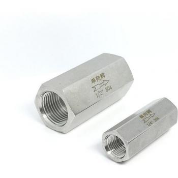 2PCS BSP Female Check Valve for Boiler Pressure