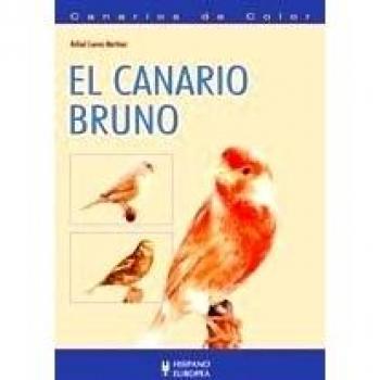 Canarios De Color/ Colorfull Canaries