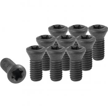 Set di Viti Garant per Inserti (10)