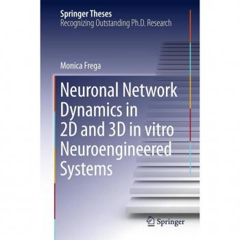 Neuronal Network Dynamics in 2D and 3D in vitro Neuroengineered Systems