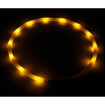 Glowing Dog Collar for Night Safety