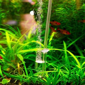 Cristal Verde: Conjunto U‑Tube para Acuarios y Jardines
