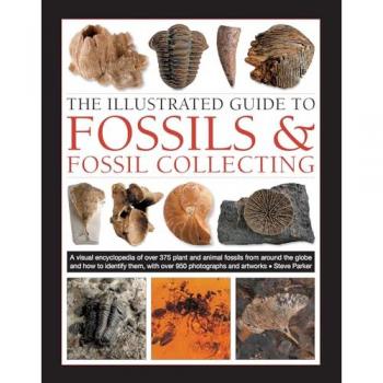 Steve Parker Fossils & Fossil Collecting, The Illustrated Guide to