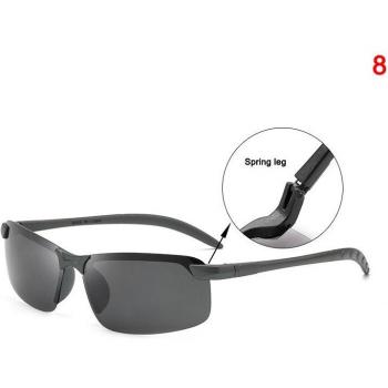 RayVision Polarité