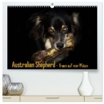 Premium Wandkalender 2024 Australian Shepherd