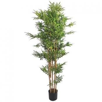 Decoración Bambú Mini 155 cm