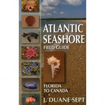 Vitalsource Technologies, Inc. Atlantic Seashore Field Guide: Florida To Canada