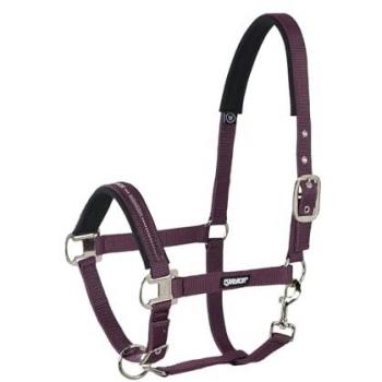 Cabestro Eskadron Pin Buckle ajustable