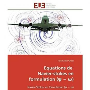 Equations de Navier-stokes en formulation (ψ − ω): Navier-Stokes en formulation (ψ − ω) (Omn.Univ.Europ.)
