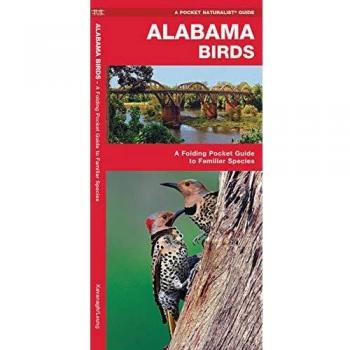 Alabama Birds A Folding Pocket Guide to Familiar Species by Illustrated by Dr Raymond Leung James Kavanagh