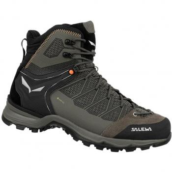 Salewa Botas Alpinismo MTN Trainer Lite Mid Goretex